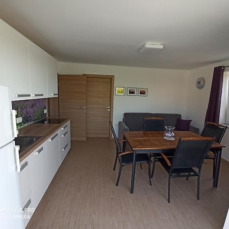Summer Delight Apartments Savudrija Dış mekan fotoğraf