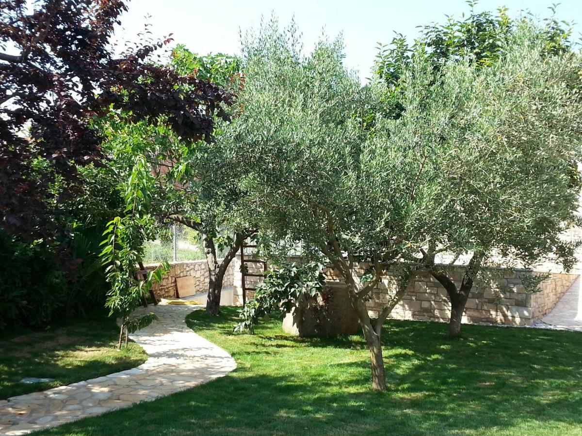 Summer Delight Apartments Savudrija Dış mekan fotoğraf