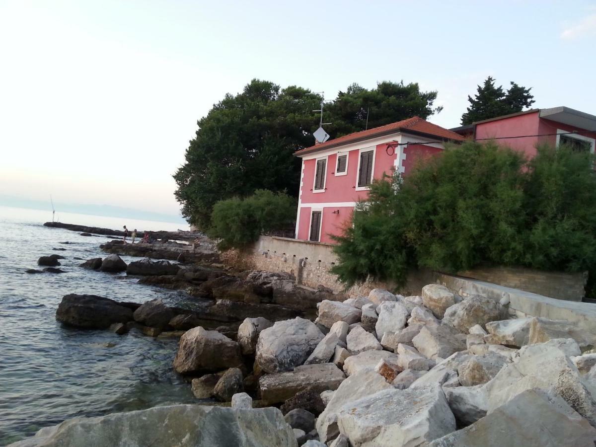 Summer Delight Apartments Savudrija Dış mekan fotoğraf
